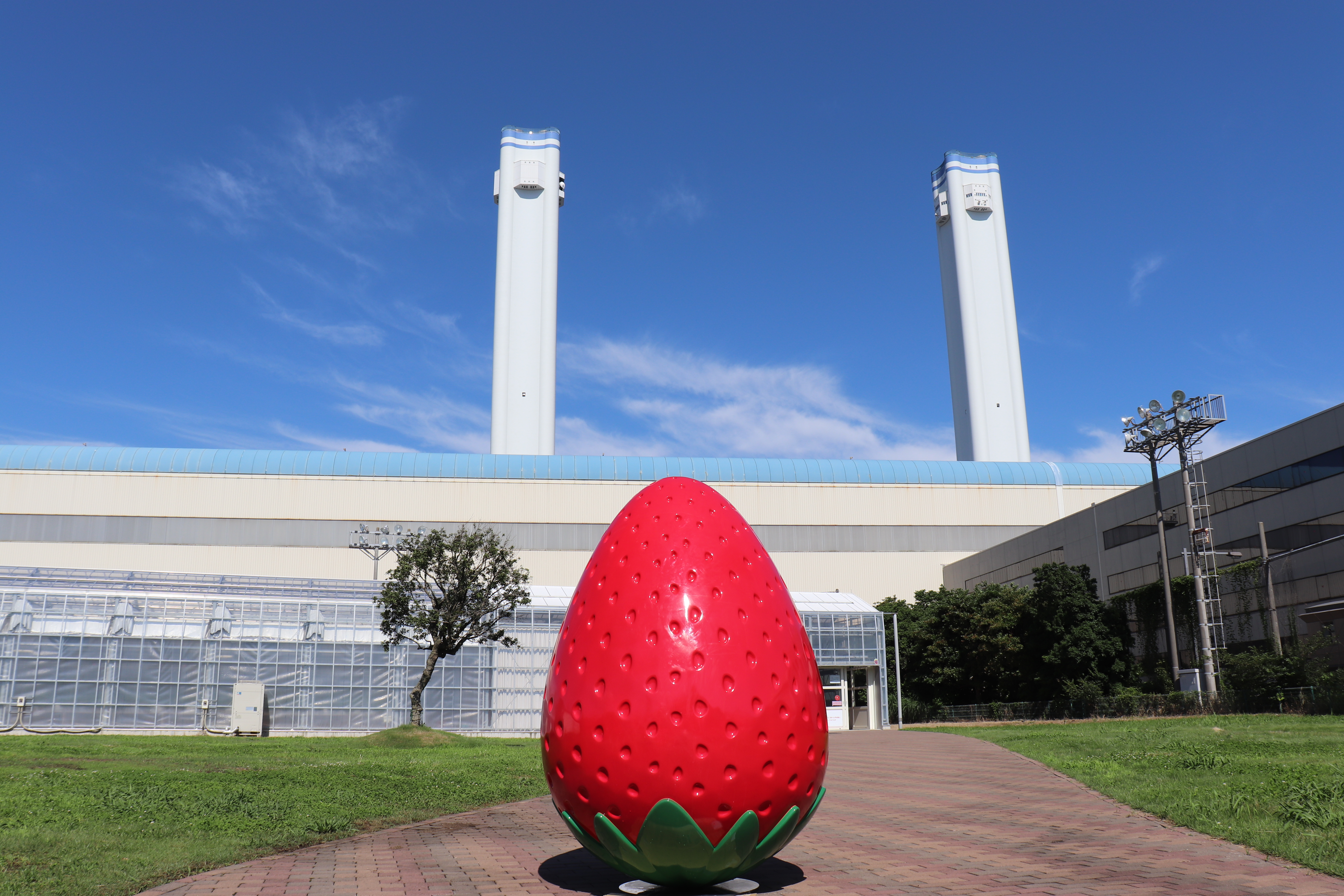 横浜ストロベリーパーク【横浜市鶴見区】